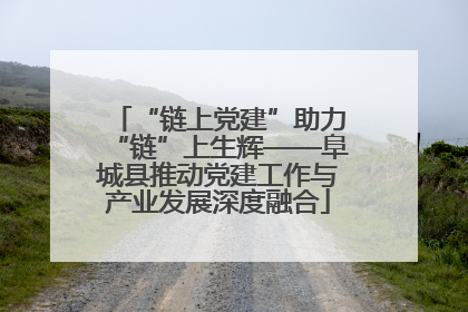 “链上党建”助力“链”上生辉——阜城县推动党建工作与产业发展深度融合