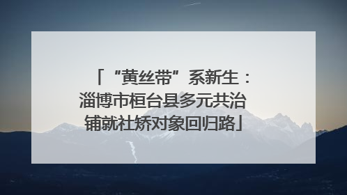 “黄丝带”系新生：淄博市桓台县多元共治铺就社矫对象回归路