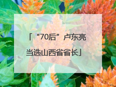 “70后”卢东亮当选山西省省长