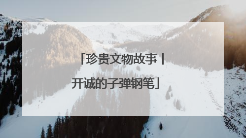 珍贵文物故事丨开诚的子弹钢笔
