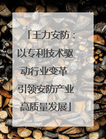 王力安防：以专利技术驱动行业变革 引领安防产业高质量发展