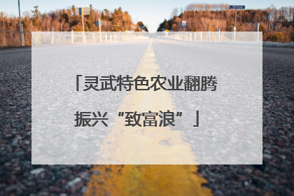 灵武特色农业翻腾振兴“致富浪”