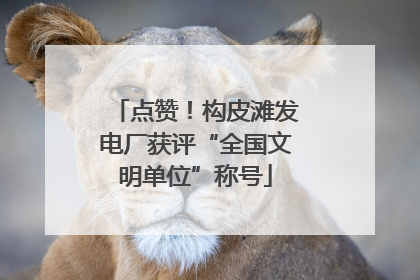 点赞！构皮滩发电厂获评“全国文明单位”称号