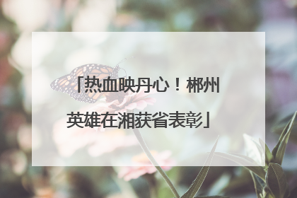 热血映丹心！郴州英雄在湘获省表彰