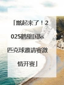 燃起来了！2025鹤壁国际匹克球邀请赛激情开赛