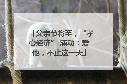 父亲节将至，“孝心经济” 涌动：爱他，不止这一天