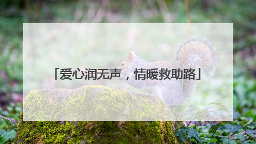 爱心润无声，情暖救助路