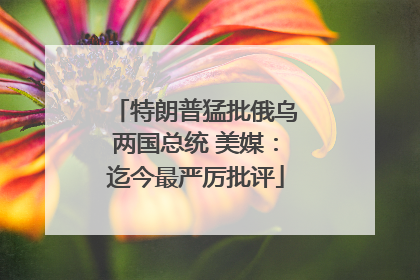 特朗普猛批俄乌两国总统 美媒：迄今最严厉批评