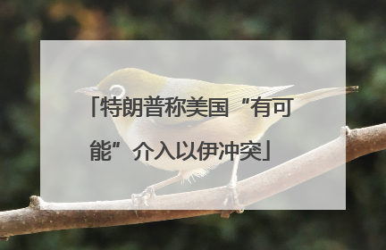特朗普称美国“有可能”介入以伊冲突