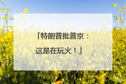 特朗普批普京：这是在玩火！