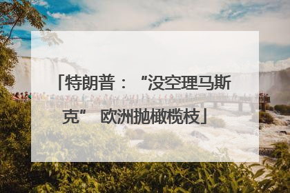 特朗普：“没空理马斯克” 欧洲抛橄榄枝