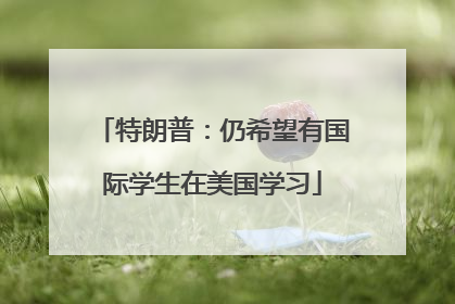 特朗普：仍希望有国际学生在美国学习