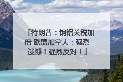 特朗普：钢铝关税加倍 欧盟加拿大：强烈遗憾！强烈反对！