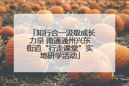 知行合一汲取成长力量 南通通州兴东街道“行走课堂”实地研学活动
