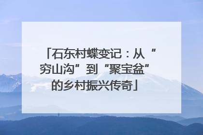 石东村蝶变记：从“穷山沟”到“聚宝盆”的乡村振兴传奇