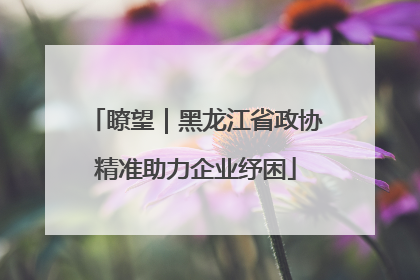 瞭望｜黑龙江省政协精准助力企业纾困