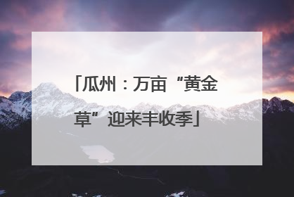 瓜州：万亩“黄金草”迎来丰收季