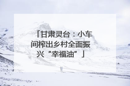 甘肃灵台：小车间榨出乡村全面振兴“幸福油”