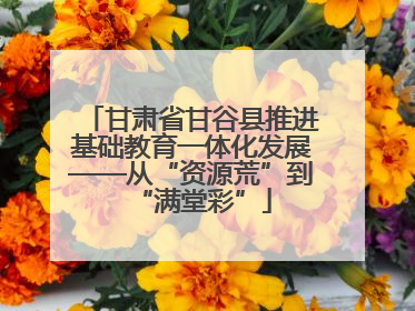 甘肃省甘谷县推进基础教育一体化发展——从“资源荒”到“满堂彩”