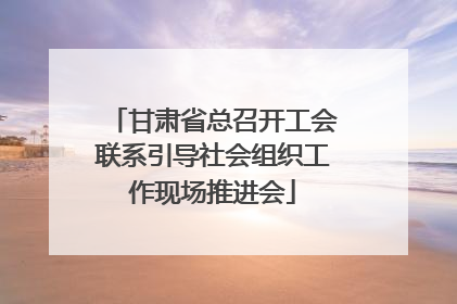 甘肃省总召开工会联系引导社会组织工作现场推进会