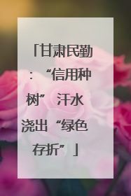 甘肃民勤：“信用种树” 汗水浇出“绿色存折”