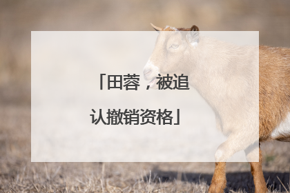 田蓉，被追认撤销资格