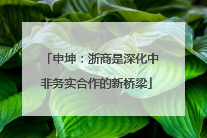 申坤：浙商是深化中非务实合作的新桥梁
