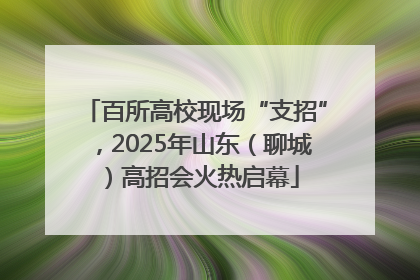 百所高校现场“支招”，2025年山东（聊城）高招会火热启幕