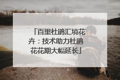 百里杜鹃汇境花卉：技术助力杜鹃花花期大幅延长