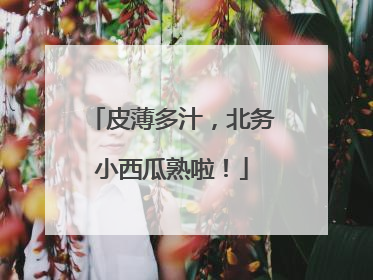 皮薄多汁，北务小西瓜熟啦！