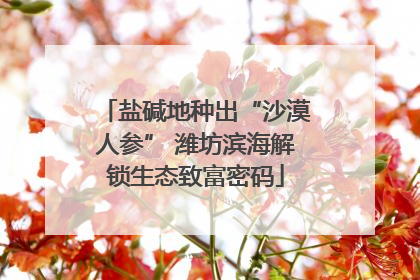 盐碱地种出“沙漠人参” 潍坊滨海解锁生态致富密码