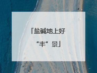 盐碱地上好“丰”景