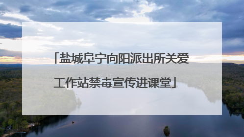 盐城阜宁向阳派出所关爱工作站禁毒宣传进课堂