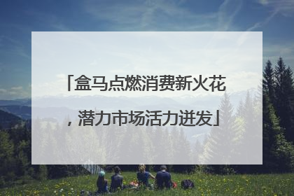 盒马点燃消费新火花，潜力市场活力迸发