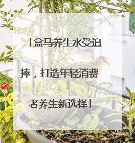 盒马养生水受追捧，打造年轻消费者养生新选择