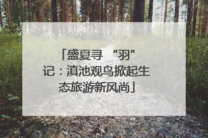 盛夏寻 “羽” 记：滇池观鸟掀起生态旅游新风尚