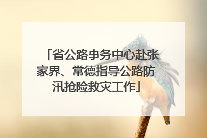 省公路事务中心赴张家界、常德指导公路防汛抢险救灾工作