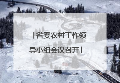 省委农村工作领导小组会议召开