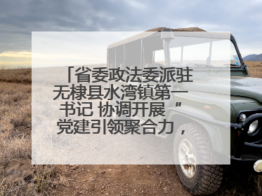 省委政法委派驻无棣县水湾镇第一书记 协调开展“党建引领聚合力，健康义诊惠乡亲”义诊活动