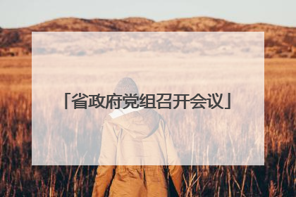 省政府党组召开会议