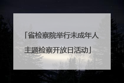 省检察院举行未成年人主题检察开放日活动