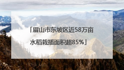 眉山市东坡区近58万亩水稻栽插面积超85%