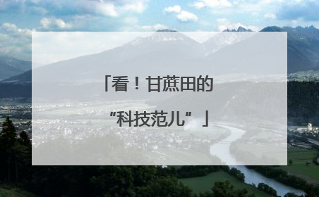 看！甘蔗田的“科技范儿”