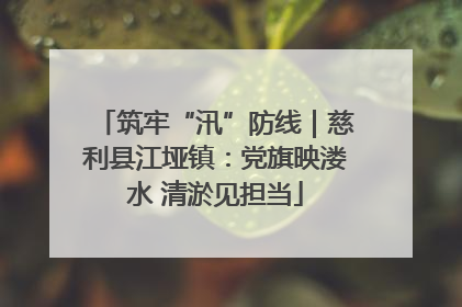 筑牢“汛”防线｜慈利县江垭镇：党旗映溇水 清淤见担当