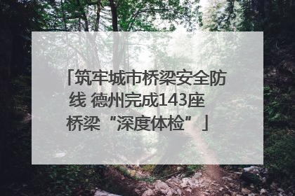 筑牢城市桥梁安全防线 德州完成143座桥梁“深度体检”