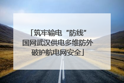 筑牢输电“防线” 国网武汉供电多维防外破护航电网安全