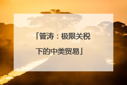 管涛：极限关税下的中美贸易