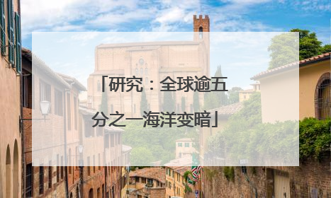 研究：全球逾五分之一海洋变暗