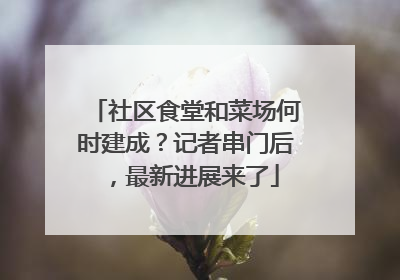 社区食堂和菜场何时建成？记者串门后，最新进展来了