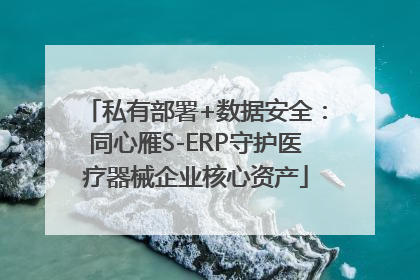 私有部署+数据安全：同心雁S-ERP守护医疗器械企业核心资产